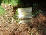 image of grave number 633645